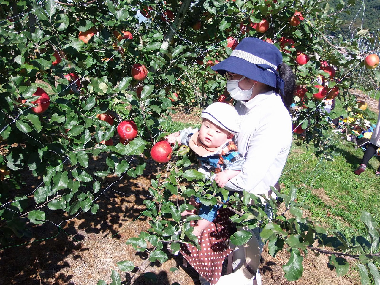 里曲（さとわ）保育園